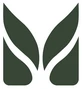 MASSI
